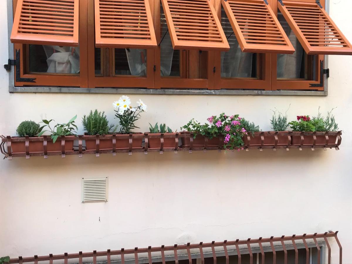 Апартаменти La Casa Fra Gli Ulivi Леричі Екстер'єр фото